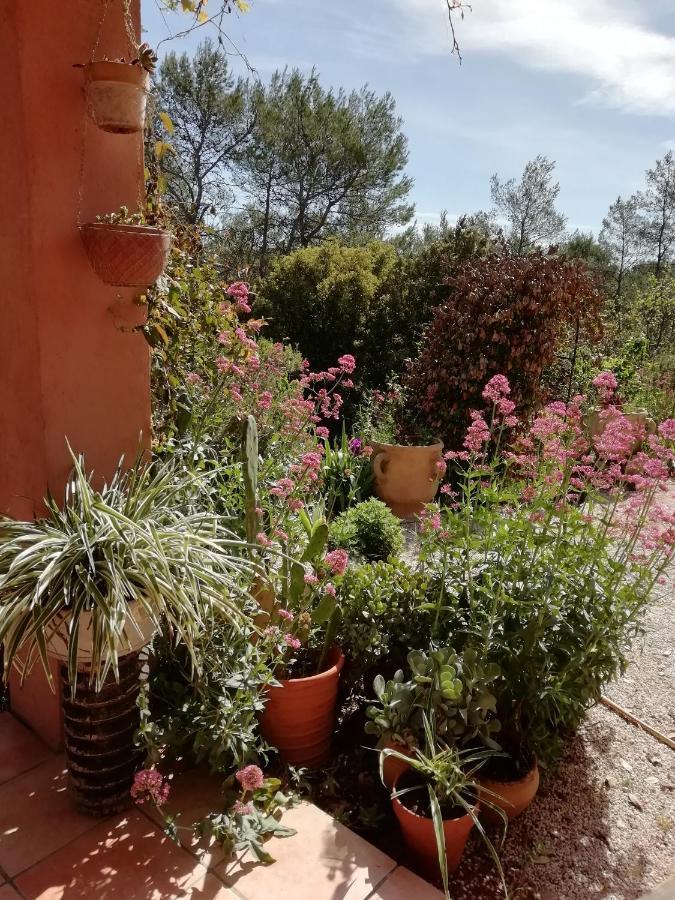 Chambre D'Hote Le Mas Des Romarins Les Arcs-sur-Argens Екстер'єр фото