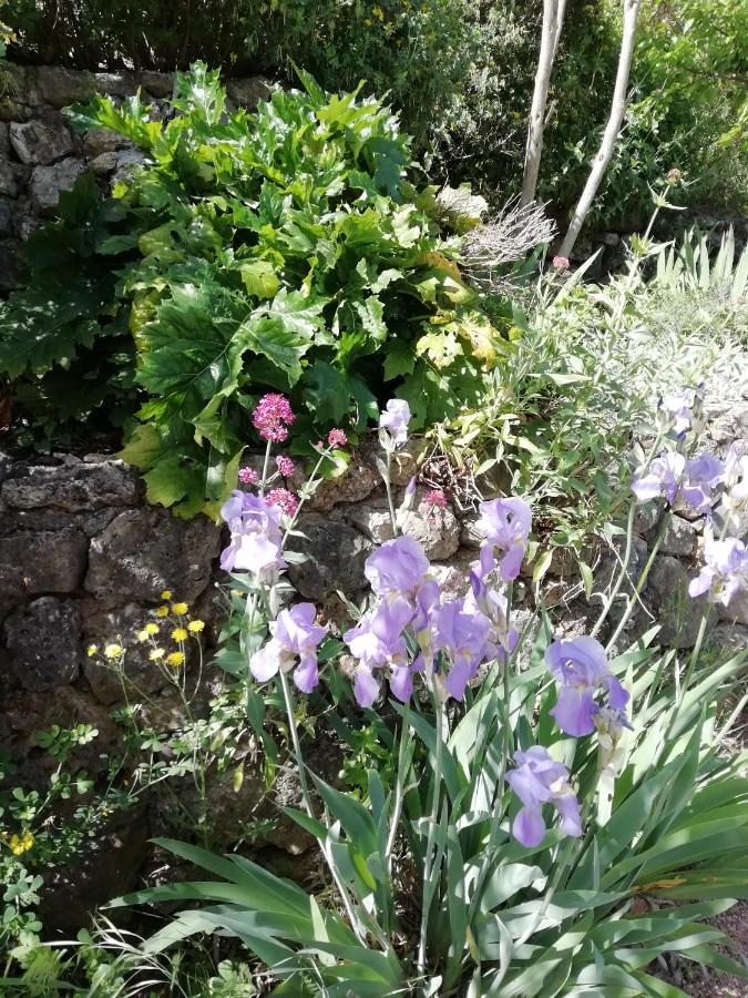 Chambre D'Hote Le Mas Des Romarins Les Arcs-sur-Argens Екстер'єр фото