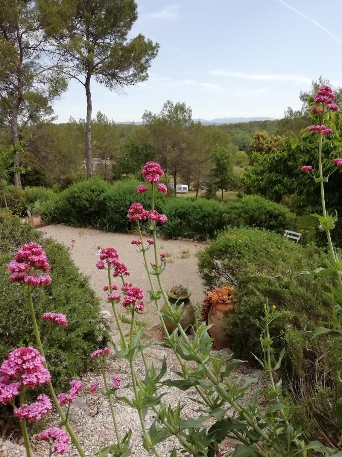 Chambre D'Hote Le Mas Des Romarins Les Arcs-sur-Argens Екстер'єр фото